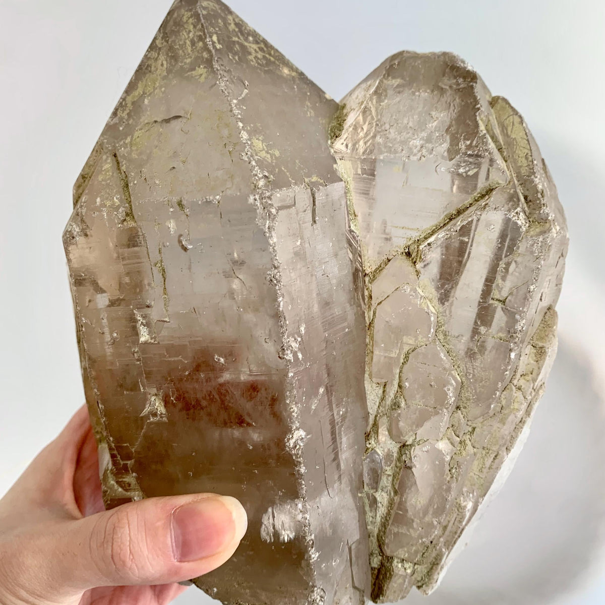 large himalayan smoky quartz twin crystal