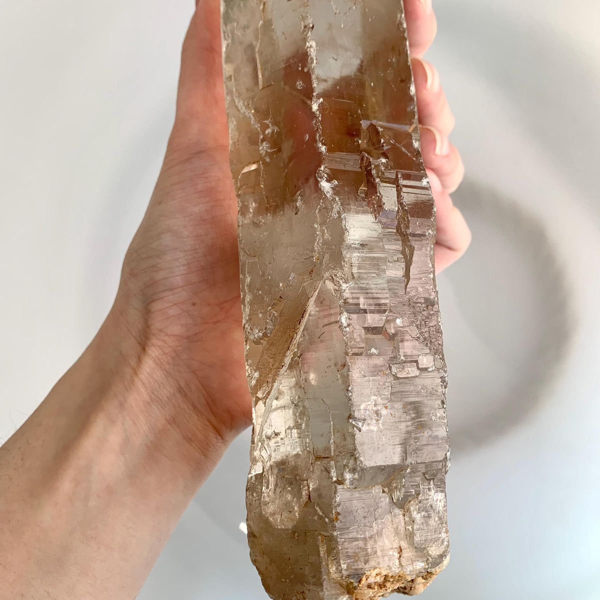 elongated smoky quartz crystal display