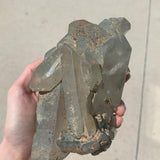 large chlorite quartz statement specimen