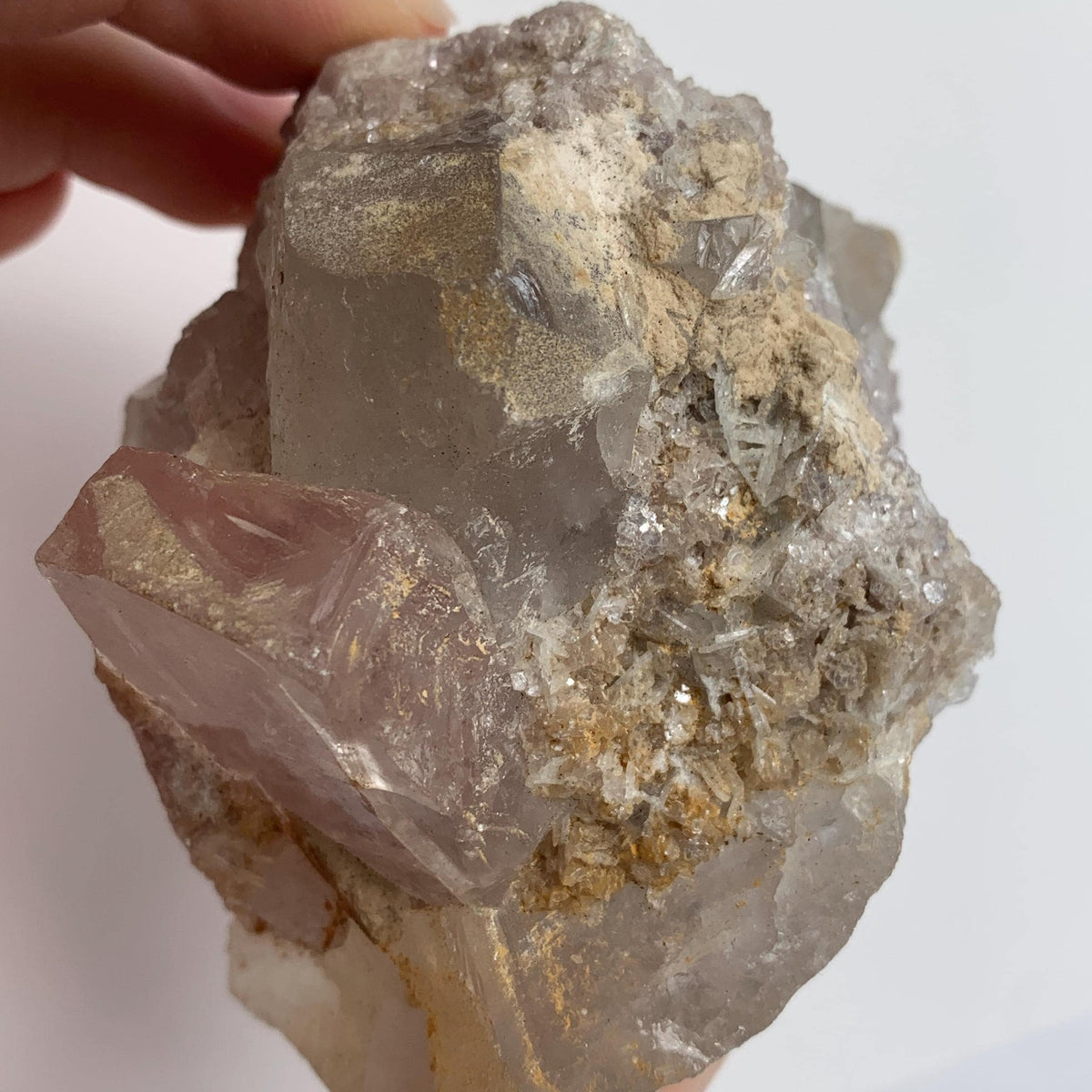 pastel pink morganite beryl crystal collector mineral