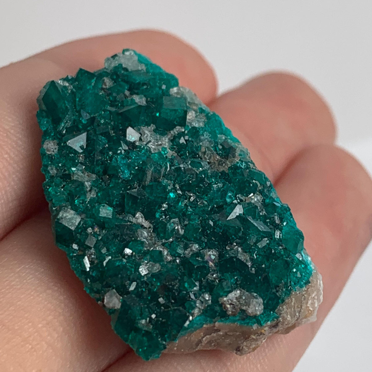 sparkling green dioptase cluster tsumeb locality