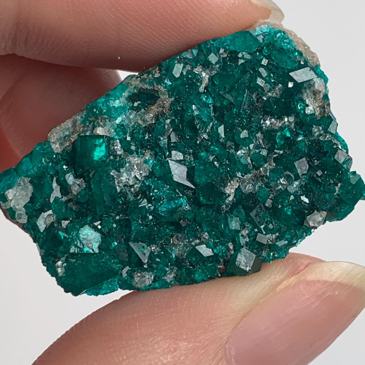 collector grade dioptase crystal cluster namibia
