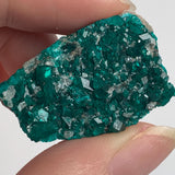 collector grade dioptase crystal cluster namibia