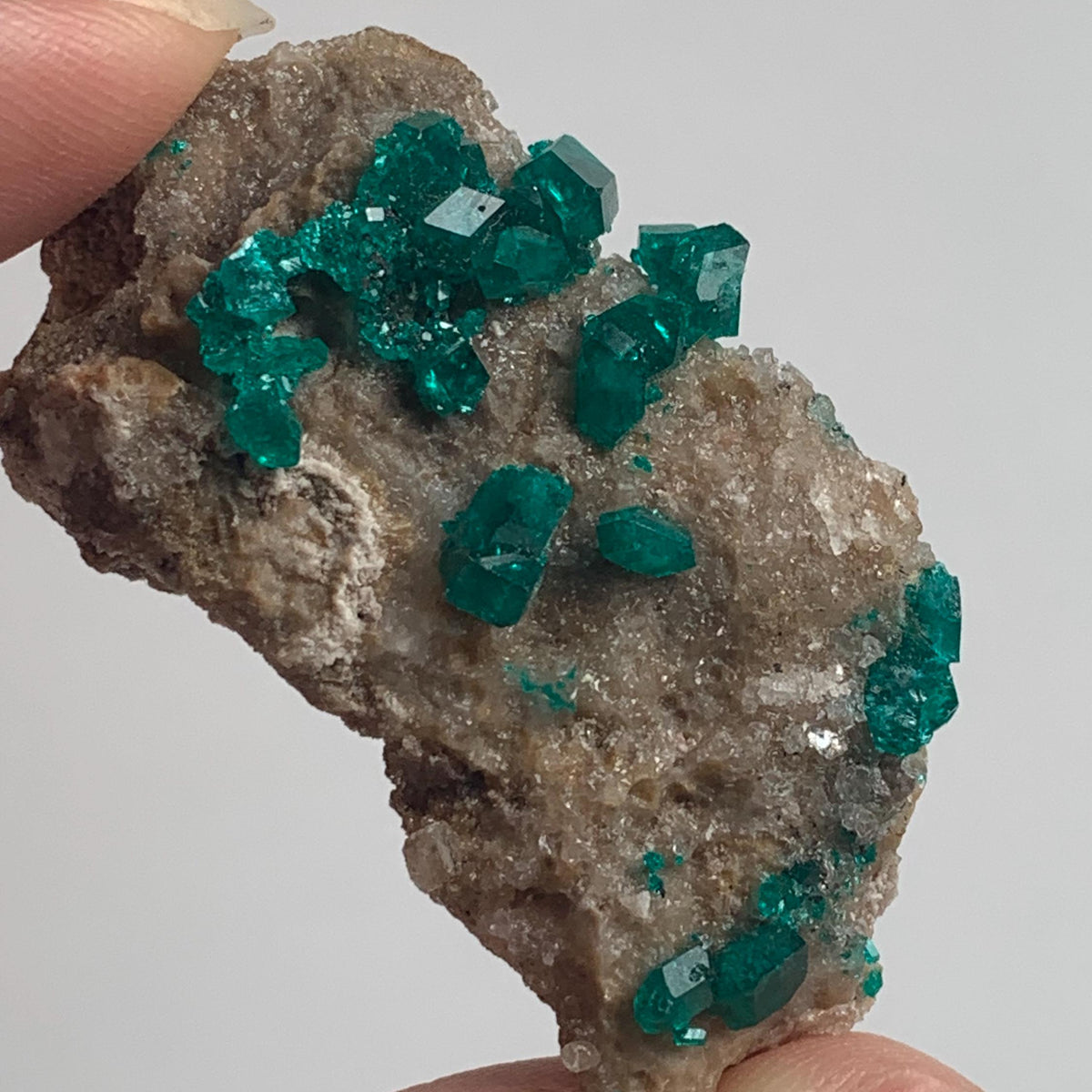 well formed dioptase crystal cluster namibia