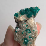rare namibia dioptase with strong crystal form