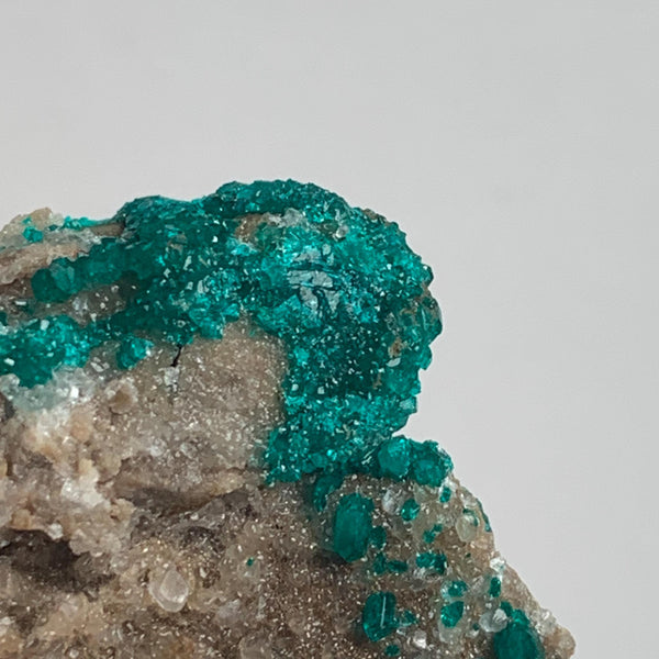 tsumeb mine dioptase crystal matrix collector piece