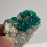 tsumeb dioptase cabinet mineral display specimen