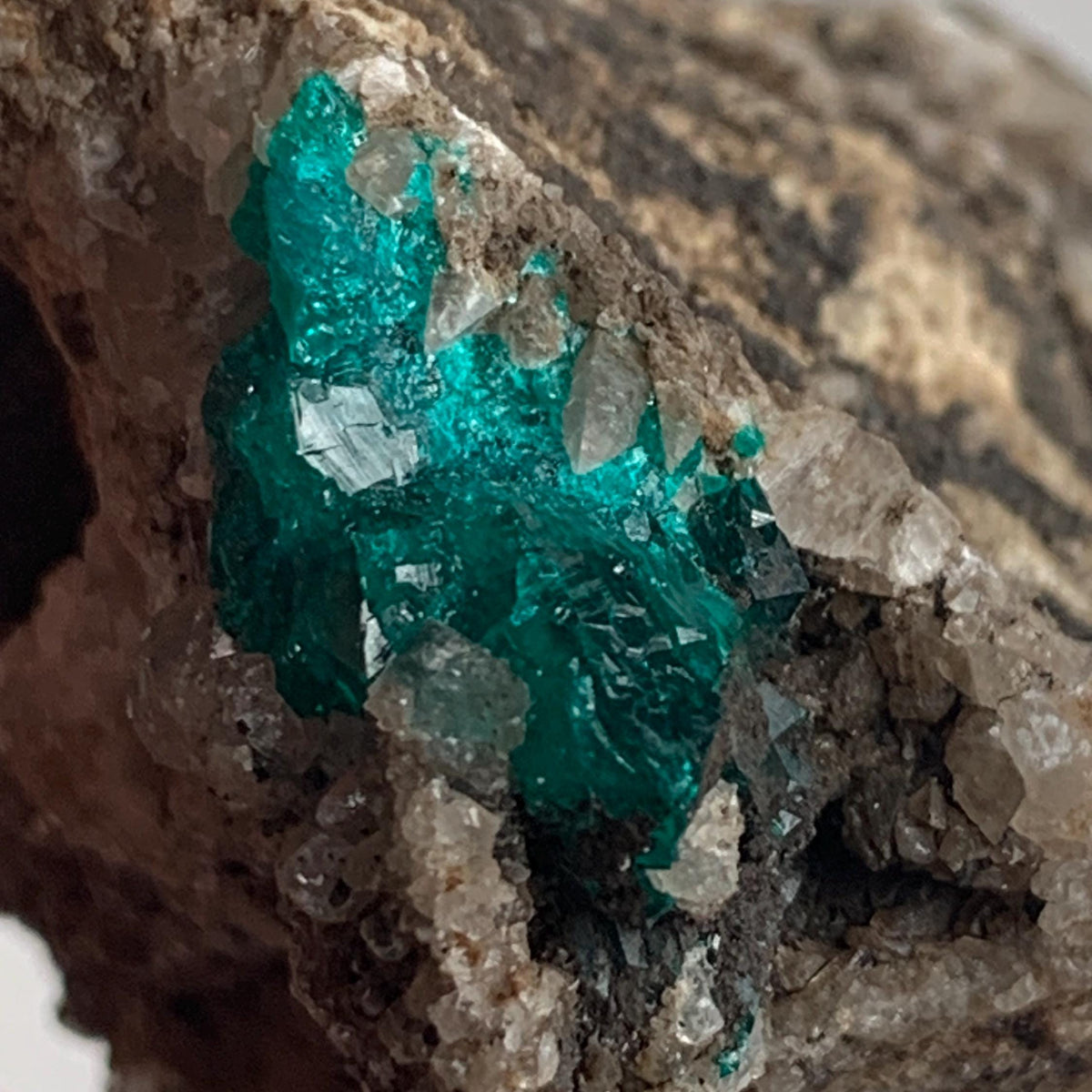 rare tsumeb dioptase mineral collector piece