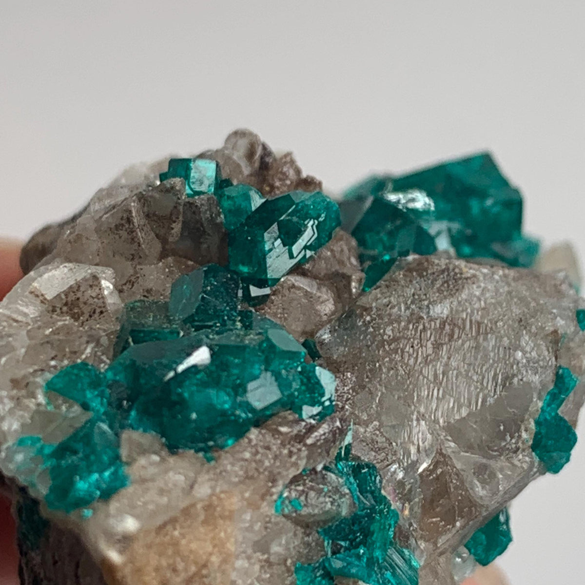 sparkling emerald dioptase cluster on matrix
