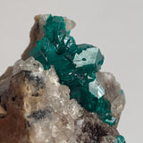 natural copper mineral dioptase crystal specimen