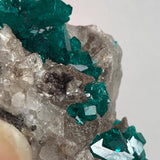 bright emerald green dioptase crystal formation