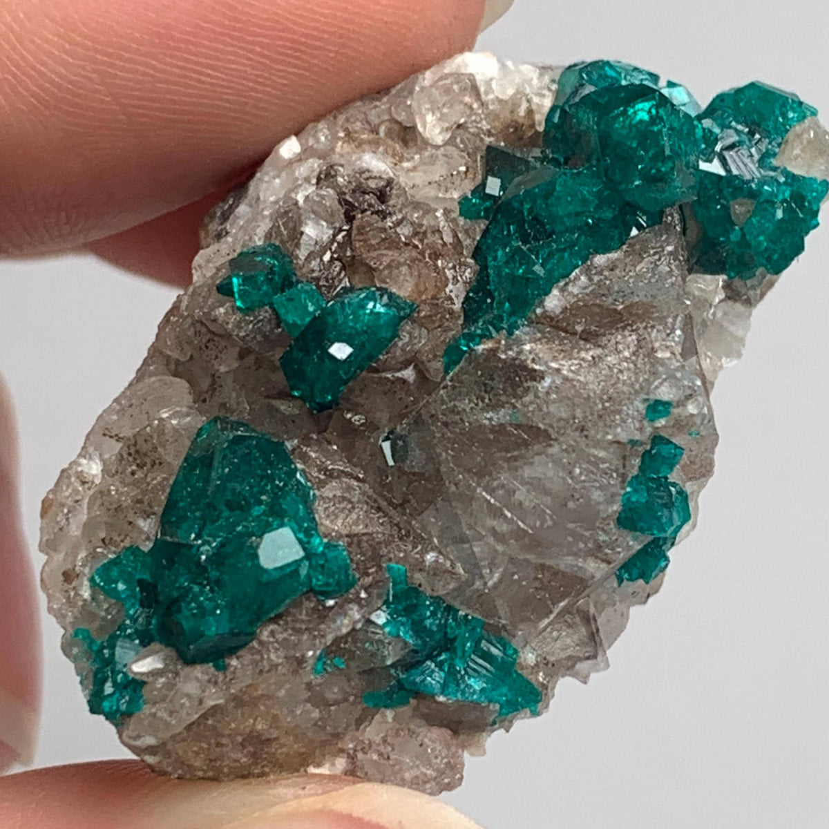 collector grade dioptase mineral namibia locality