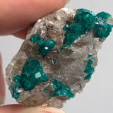 collector grade dioptase mineral namibia locality