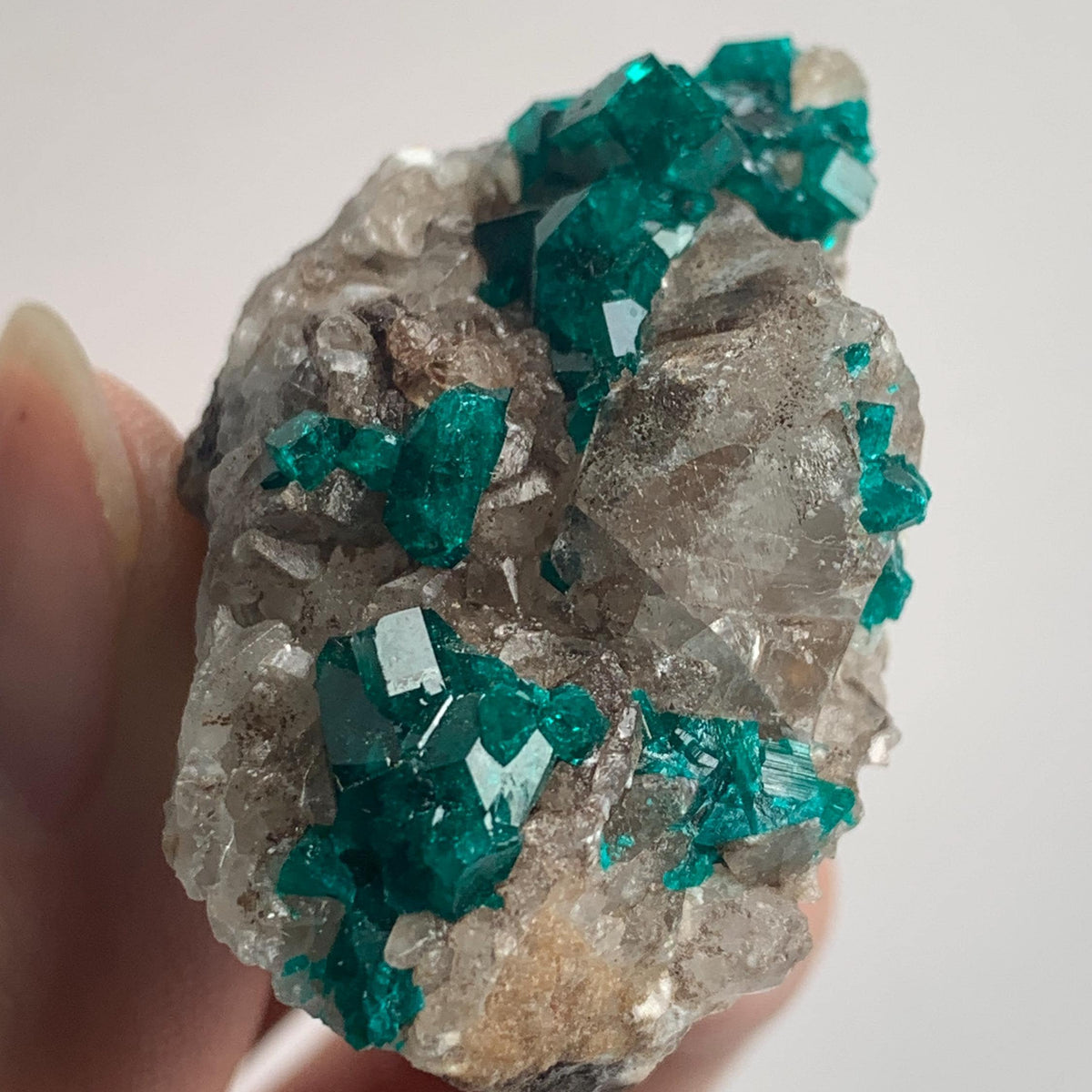 collector tsumeb dioptase mineral display piece