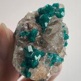 collector tsumeb dioptase mineral display piece