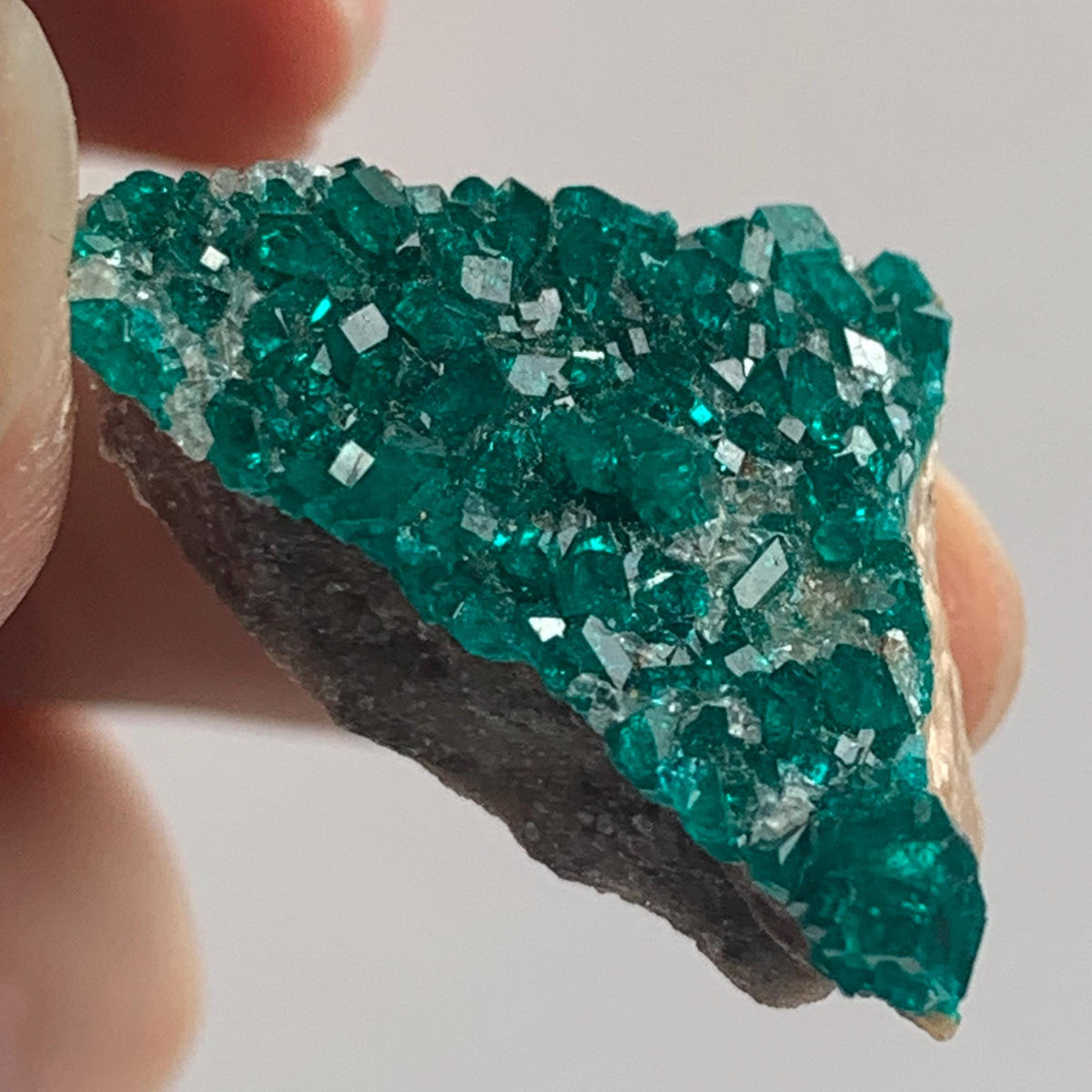 fully encrusted dioptase crystals tsumeb mine namibia