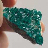 fully encrusted dioptase crystals tsumeb mine namibia