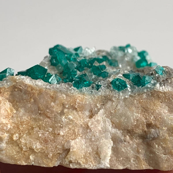 collector grade dioptase mineral namibia locality