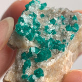 small dioptase crystal specimen tsumeb mine