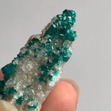 natural copper mineral dioptase crystal layer