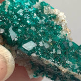 emerald green dioptase crystal coating specimen