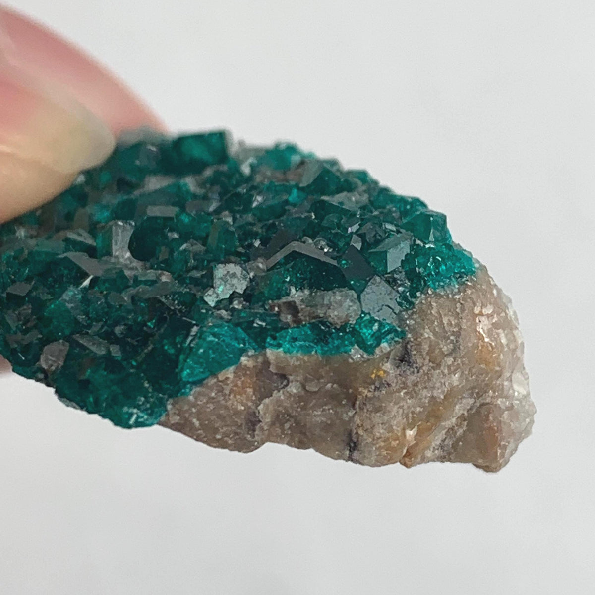 rare collector dioptase specimen from tsumeb mine