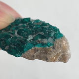 rare collector dioptase specimen from tsumeb mine
