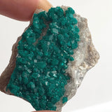 rare collector dioptase mineral specimen namibia