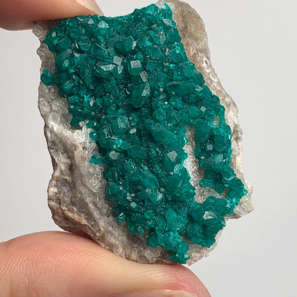 dense dioptase crystal clusters on matrix tsumeb mine