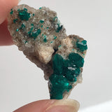 vivid green dioptase crystal cluster specimen