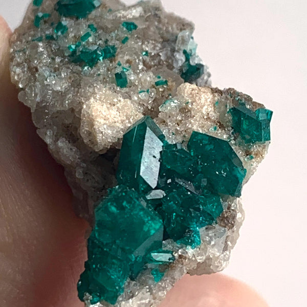large crystal dioptase specimen tsumeb mine namibia