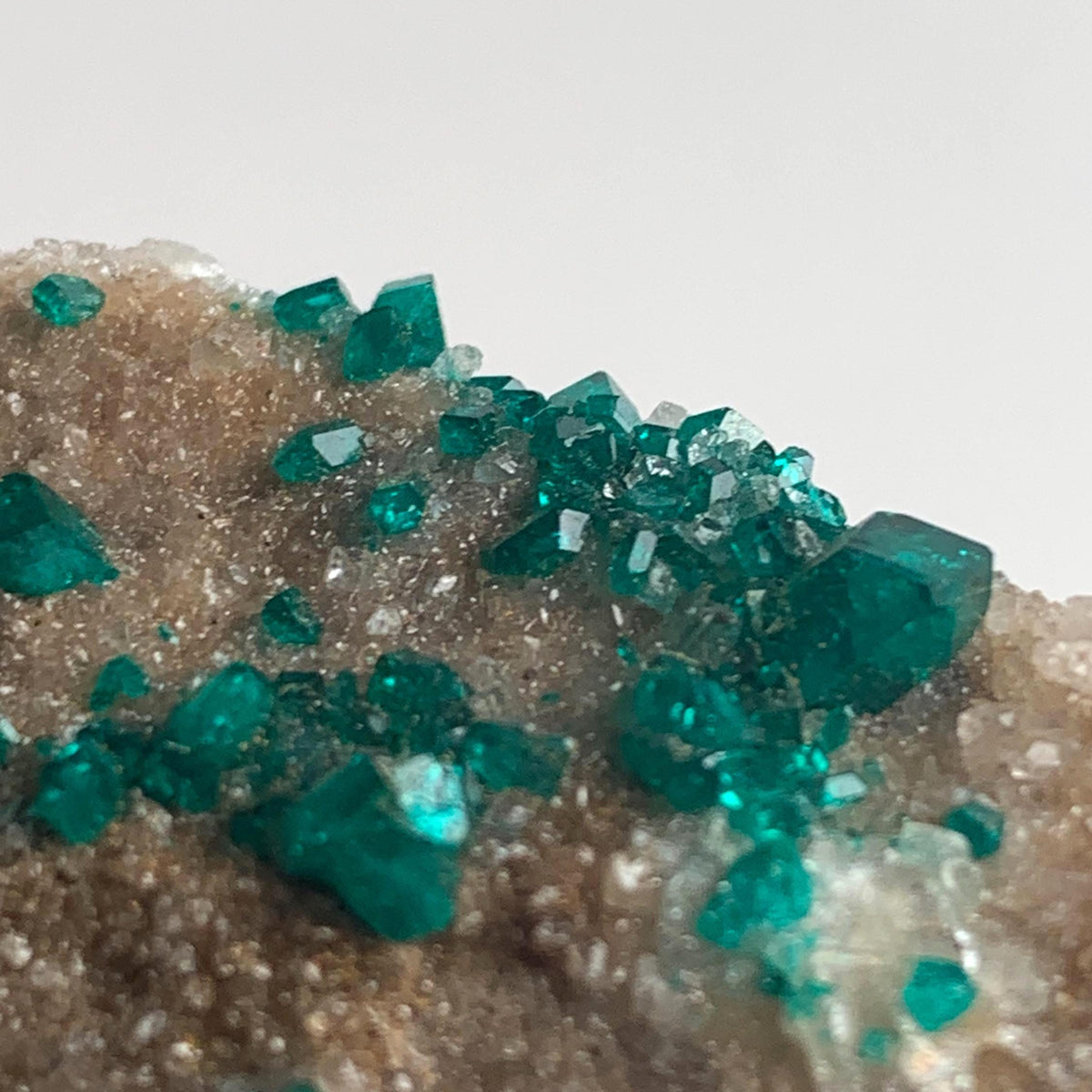rare namibia dioptase with scattered crystals