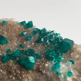 rare namibia dioptase with scattered crystals