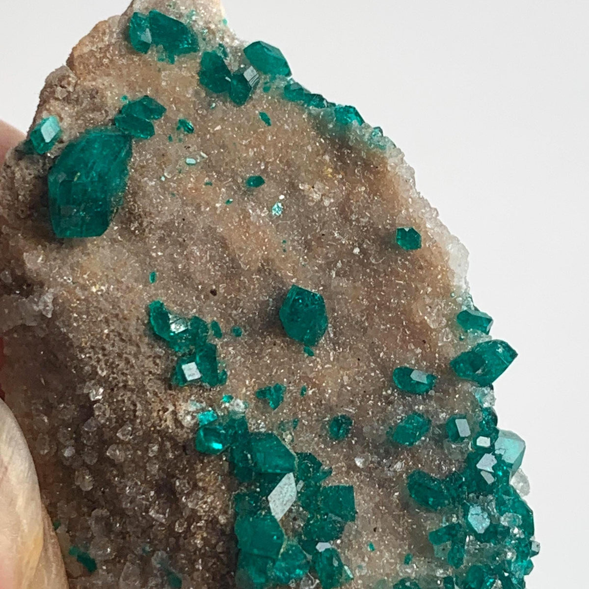 collector dioptase mineral specimen