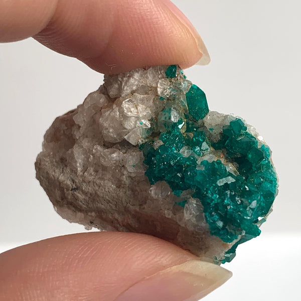 dioptase crystals on matrix tsumeb mine namibia