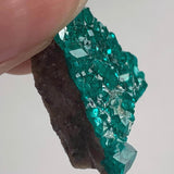 collector dioptase mineral specimen namibia locality