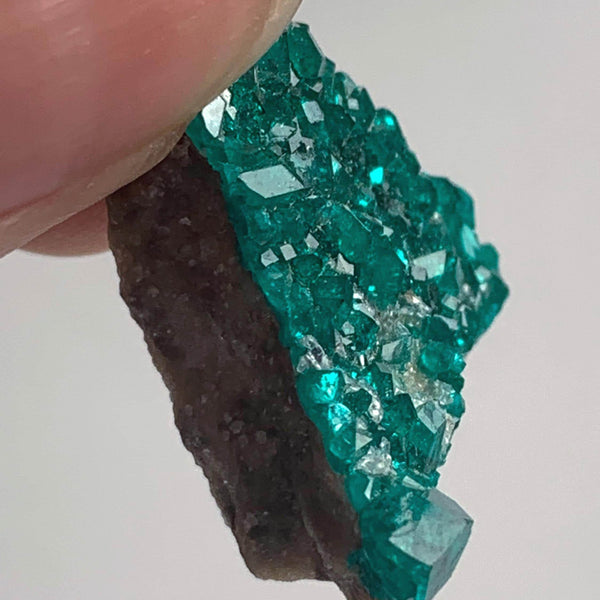 collector dioptase mineral specimen namibia locality