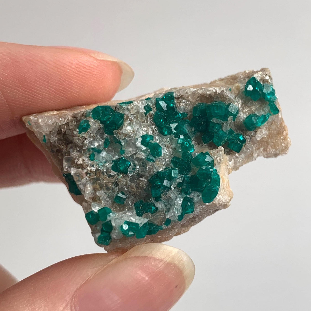 natural copper mineral dioptase crystal points