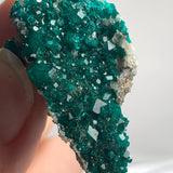 close up of tsumeb mine dioptase fully covered crystal surface