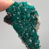 Tsumeb Dioptase Specimen – Emerald Green Crystallized Matrix, Namibia Collector Mineral Cabinet Display Piece, D13