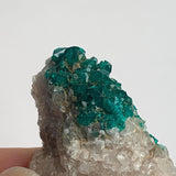 tsumeb mine dioptase crystal group collector piece