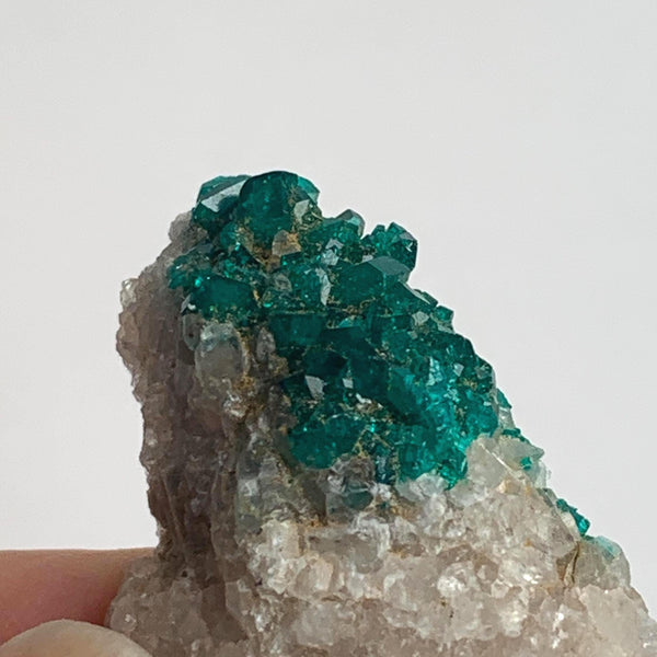 tsumeb mine dioptase crystal group collector piece