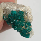 tsumeb dioptase cabinet mineral display specimen