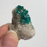 green dioptase crystals clustered on host rock