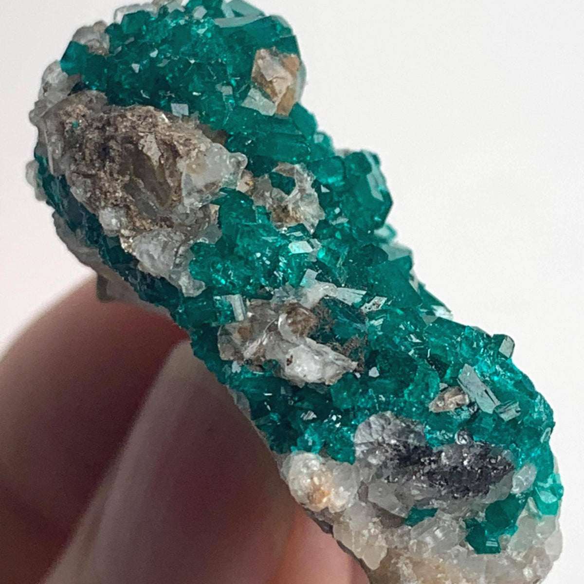 collector grade dioptase specimen namibia locality