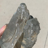 cluster of quartz crystals with chlorite