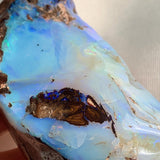 Natural boulder opal specimen showing iridescent colors