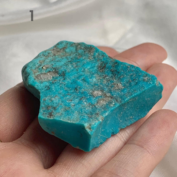 Old collection Sleeping Beauty Turquoise specimen