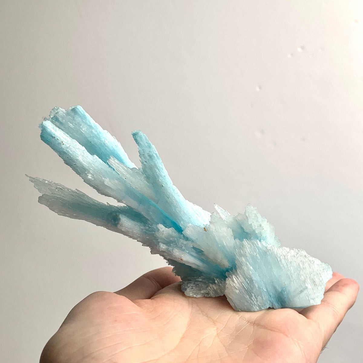 Blue aragonite mineral cluster held to showcase scale and 5-inch length.