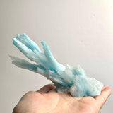 Blue aragonite mineral cluster held to showcase scale and 5-inch length.